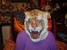 VINYL ADULT SIZE TIGER'S HEAD