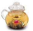 Primula Glass Stovetop Tea Pot with Infuser