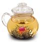 Primula Glass Stovetop Tea Pot with Infuser