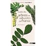 Guide des arbres et arbustes de France de Alain Persuy