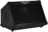 Traynor TVM50 50W 1x10 Battery Powered Guitar Combo Amp (Black) Traynor TVM50 50W 1x10 Battery Powered Guitar Combo Amp (Black)