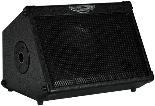 Traynor TVM50 50W 1x10 Battery Powered Guitar Combo Amp (Black)
