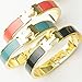 Gotomore 2015 Summer Popular Stylish Stainless Steel Anti-allergic H-shaped Buckle Bracelet Bangle -Gold + Pink/Purple