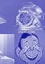 Kids TV of the 50s and 60s