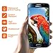 Samsung Galaxy S6 Screen Protector, COCOCAT [Tempered Glass][One-Touch Installation Automatically] 0.15 mm Ballistic Glass Screen Protector Work with Samsung Galaxy S6 and Protective Case