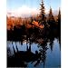 Animal Alaska Moose Big Rack Sunset Art Print POSTER - 13x19