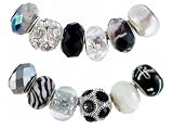Pandora Style Twelve (12) Piece Charm Bead Set with Murano Style, Faceted Glass Style and Crystal Beads - Fits Pandora, Troll, Biagi and Charmilia - Exact Assortment as Shown (FB146)
