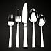 CIRQUE 45 PIECE FLATWARE SET