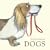 Dogs