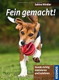 Fein gemacht!: Hunde richtig motivieren und belohnen