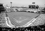 Professionally Framed Angel Stadium Anaheim Archival Photo Sports Poster - 13x19 with RichAndFramous Black Wood Frame