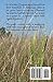 Spirit In The Red Amber: A novel of an American Indian