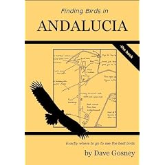 Finding Birds in Andalucia