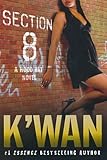Section 8: A Hood Rat Novel