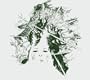 Cryptic & Dire Sallow Faced Hoods Blast Off Into