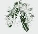 Cryptic and Dire Sallow Faced Hoods Blast Off Into Oblivion Cryptic and Dire Sallow Faced Hoods Blast Off Into Oblivion