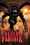 Black Panther: Who Is The Black Panther HC