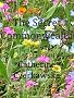 The Secret Commonwealth