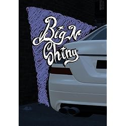 Big N Shiny