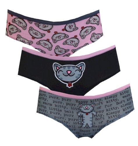 The Big Bang Theory Soft Kitty 3 Pack Hipster Women Panties