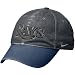 Tampa Bay Rays Merchandise: Nike Tampa Bay Rays Graphite Legacy 91 Circus Catch Flex Fit Hat