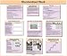 Standardized Work Glossy Poster