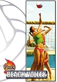 Beach Volley Hot Sports [Download]