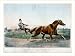 Historic Print (L): Celebrated pacing mare Pocahontas, driven by James McMann esq: Peforming her wonderful f
