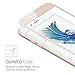 multifun Tempered Glass Screen Protector for multifun Tempered Glass Screen Protector for Apple iPhone 6s Plus/iPhone 6 Plus 5.5 inch 0.2mm Ultra Thin Color Frame 2-Pack Gold