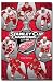 Detroit Red Wings (2008 Stanley Cup Champions) Sports Poster Print - 24 X 36