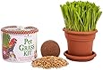 Priscilla's Kitty Cat Grass Kit - Grow Your Own Grass