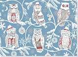 Santa Owls Deluxed Boxed Holiday Cards (Christmas Cards, Holiday Cards, Greeting Cards)