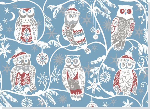 Santa Owls Deluxed Boxed Holiday Cards (Christmas Cards, Holiday Cards, Greeting Cards)
