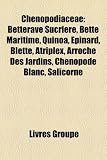 Chenopodiaceae: Betterave Sucrire, Bette Maritime, Quinoa, Pinard, Blette, Atriplex, Arroche Des Jardins, Chnopode Blanc, Salicorne