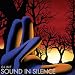 Sound in Silence