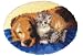 Best Friends Latch Hook Rug Kit