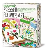 Great Gizmos Green Creativity Pressed Flower Art