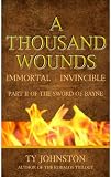 A Thousand Wounds: Part II of The Sword of Bayne