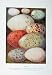 1901 Swaysland Wild Birds Eggs Dipper Spoonbill Crow