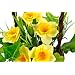 Floral Arrangement
