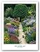 The Garden Cat by Greg Gawlowski 16"x20" Art Print Poster