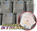 PUNJABI KEYBOARD STICKERS WITH BLUE LETTERING ON TRANSPARENT BACKGROUND