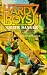 Search : Grave Danger (Hardy Boys Casefiles)
