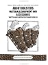 About Holsters