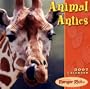 Animal Antics 2007 Calendar