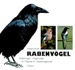 Rabenv�gel: G�tterv�gel - Galgenv�gel. Ein Pl�doyer im 'Rabenvogelstreit'