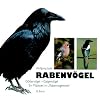 Rabenv�gel: G�tterv�gel - Galgenv�gel. Ein Pl�doyer im 'Rabenvogelstreit'