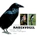 Rabenv�gel: G�tterv�gel - Galgenv�gel. Ein Pl�doyer im 'Rabenvogelstreit'