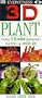 3D Eyewitness: Plant