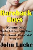 Bareback Boys (Volume One) (The Bareback Boys Club for Men Series #1)